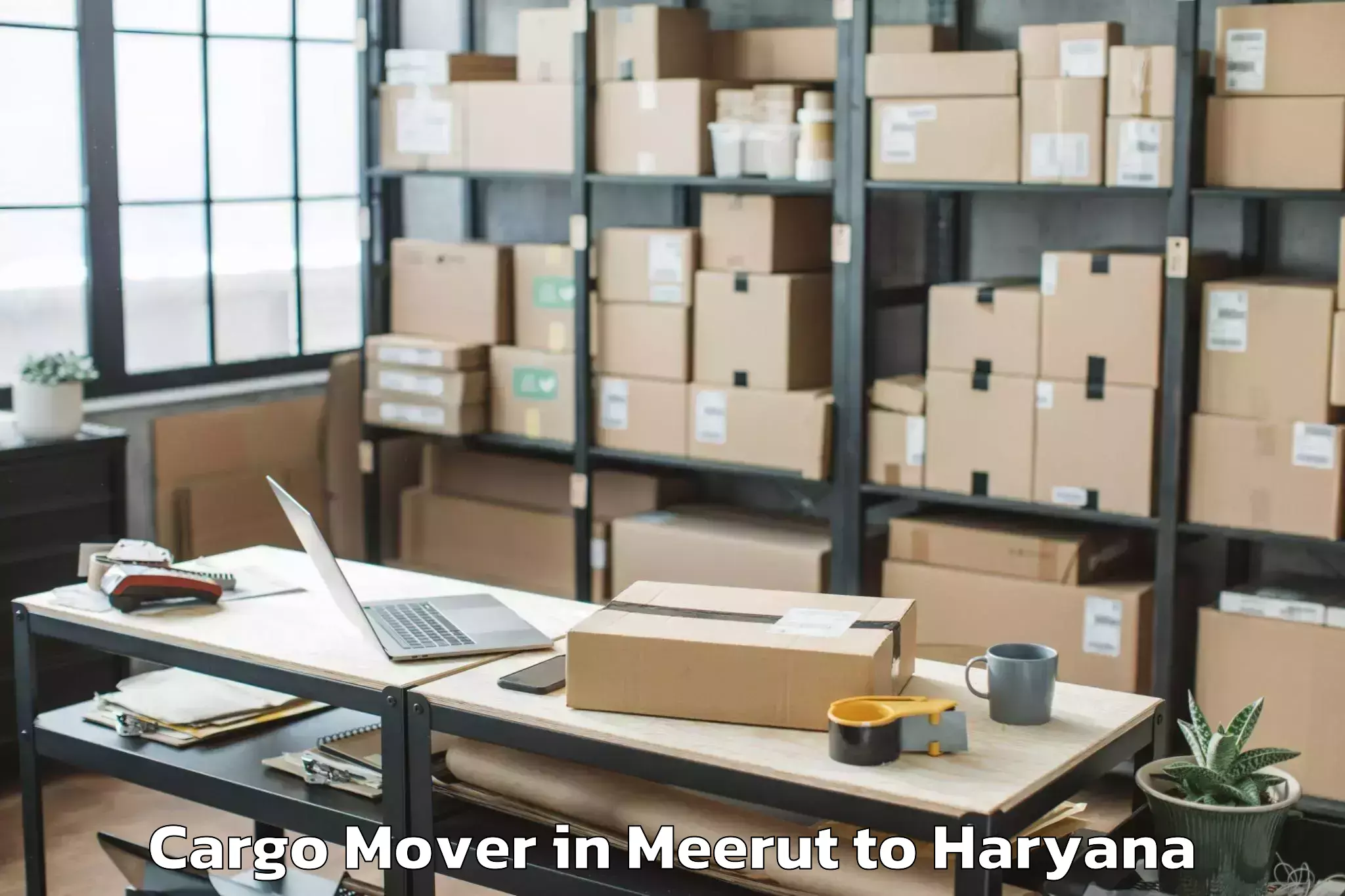 Easy Meerut to Chaudhary Charan Singh Haryana Cargo Mover Booking